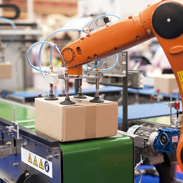 Robotic packaging machine in a factory 600x600