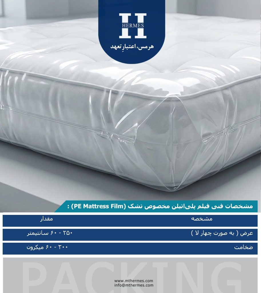 Shiring hermes 6 913x1024