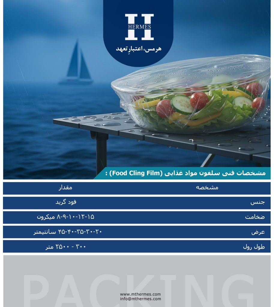 Shiring hermes 7 913x1024